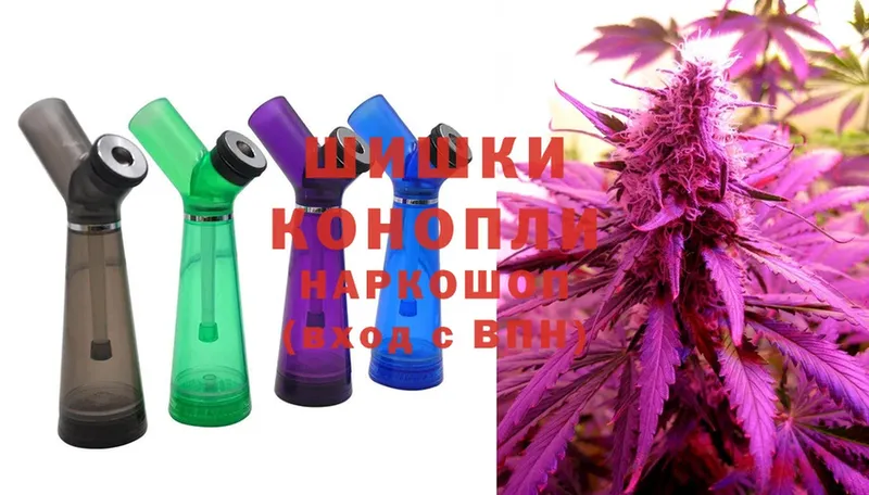 Бошки марихуана THC 21%  Тюмень 